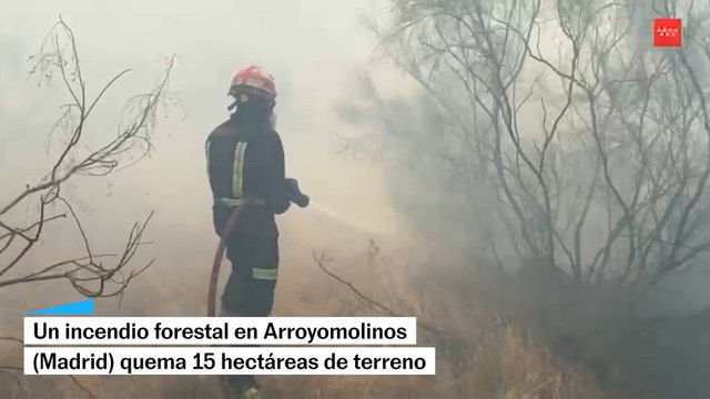Un incendio quema 15 hectáreas en Arroyomolinos (Madrid)