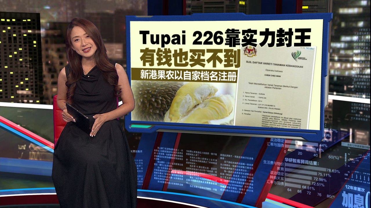 最浓郁、最苦涩、最干包 榴梿贵族“松鼠王”你吃过吗？ - video Dailymotion