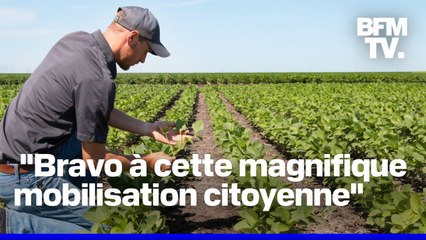 Loi Duplomb: la pétition contre le texte franchit le cap des 500.000 signatures, du jamais-vu