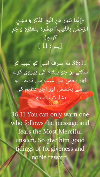 When your heart trembles for Allah in private, He honors you in public. 🌙🕊️ #SurahYaseen #SpiritualStrengthThose who fear Allah in secret are promised the greatest reward! 🌌💫 #SilentFaith