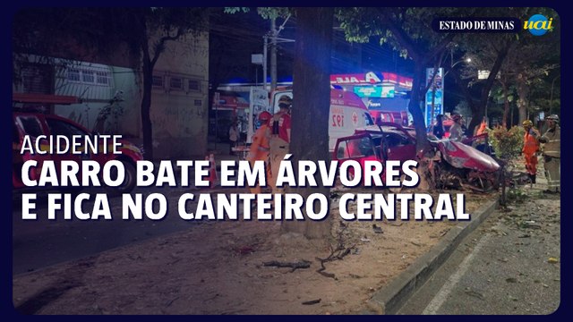 Motorista bate em árvores e carro fica no canteiro central na Avenida Barão Homem de Melo