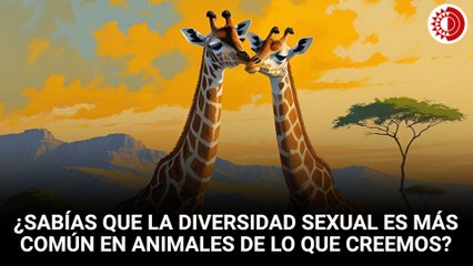 Diversidad sexual en animales