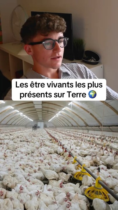 Les être vivants les plus présents sur terre 🌍