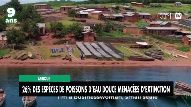 [#Reportage] Afrique : 26% des espèces de poissons d’eau douce menacées d’extinction