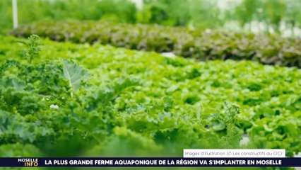 la plus grande ferme aquaponique de la région va s'implanter en Moselle