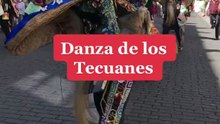 Danza de los Tecuanes: El Jaguar y el Pueblo Unido