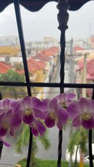 Sábado lluvioso ☔