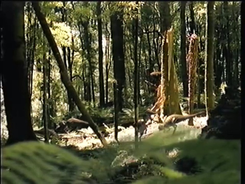 Paseando con Dinosaurios - Episodios 4 al 6 | Latino Argentino