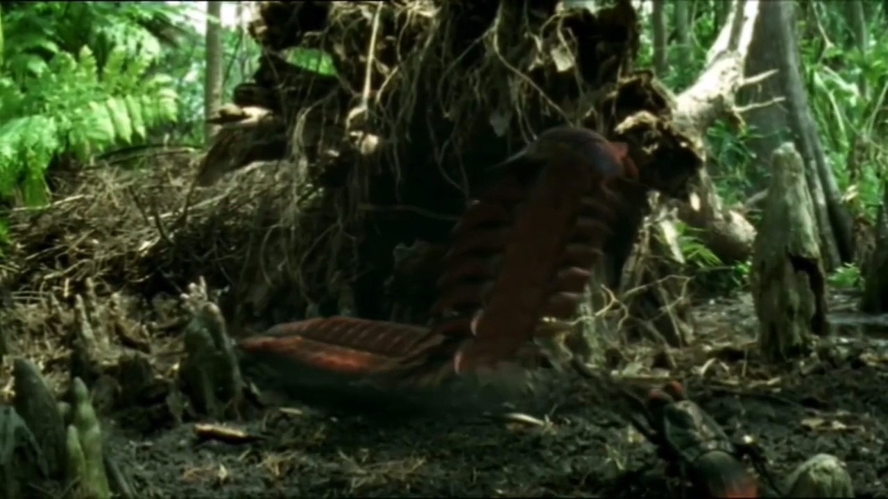 Paseando con monstruos - Episodio 2 | Latino