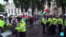 Decenas de personas detenidas en protestas a favor de 'Acción Palestina' en Londres