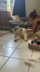 Une journée supplémentaire pour ma Toun 💛🐻‍❄️