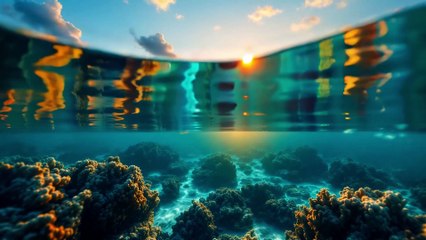 Musique Relaxante Tropicale 4K Guitare Douce & Ambiance Soleil