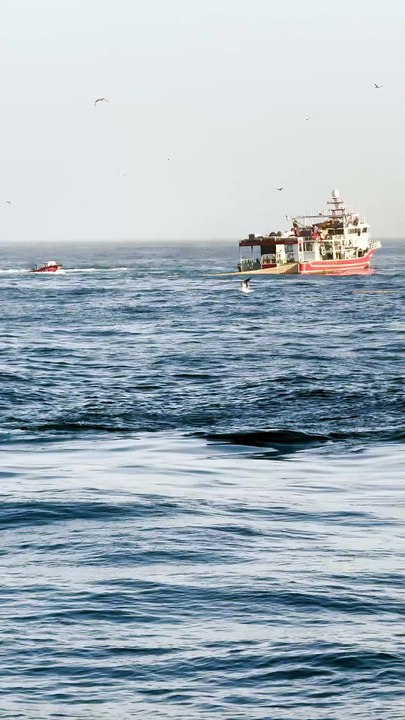 Nature , Ocean #fishing#fishingboat#fishinglife#discover#fyp#advencure#viralvideos#fishingship