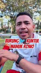 Burung Kuntul Manuk Rowo. Funny Javanese Song