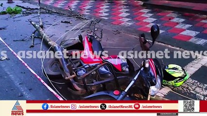 റബ്ബറിൻ്റെ ചില്ല വീണ് പോസ്റ്റ് നിലം പതിച്ചു, കാലപ്പഴക്കം ചെന്ന പോസ്റ്റെന്ന് നാട്ടുകാർ