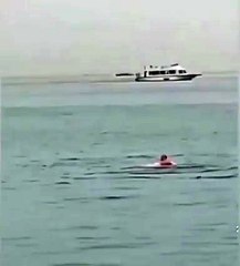 In Egypt you have to watch out for sharks.