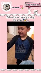 Little boy cries after dog eats his candy 😭🐶 | Funny and emotional moment