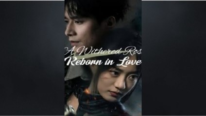A Withered Rose Reborn Chinese Drama