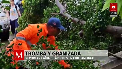 Tromba con granizo derriba árbol sobre auto en Chilpancingo