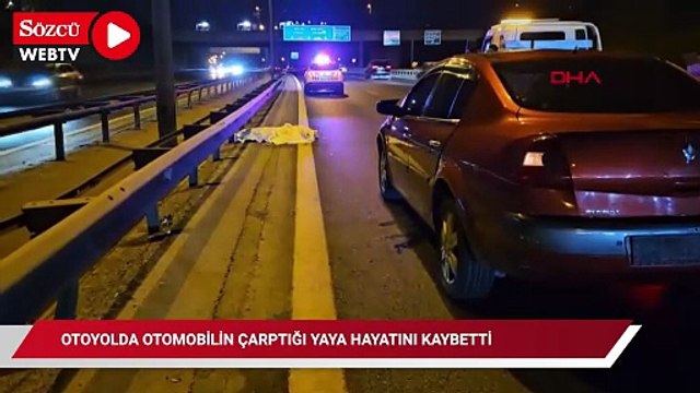 Gaziosmanpaşa’da otoyolda otomobilin çarptığı yaya hayatını kaybetti