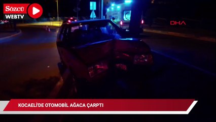 Kocaeli'de otomobil ağaca çarptı; 5 yaralı