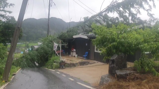 전국 폭우에 피해 속출...영상으로 보는 수해 상황 / YTN