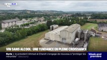 Dans le Gers, un laboratoire s'est spécialisé dans le vin sans alcool