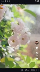 DADDY DON'T RUN IM YOUR BABY . FULL MOVIES ENGLISH SUB