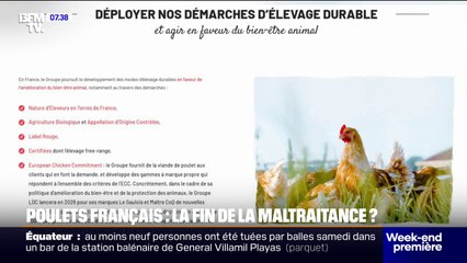 Le Gaulois et Maître Coq mettent fin à l'élevage intensif de poulets, L214 salue cette décision