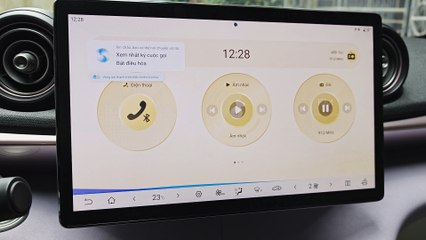 Gia lệnh giọng nói trên BYD Dolphin