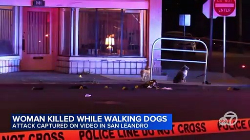 A 21-year-old suspect has been arrested for shooting and killing a woman who was walking her two dog