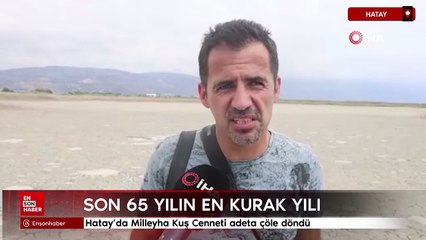Hatay'da Milleyha Kuş Cenneti adeta çöle döndü