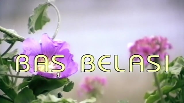 ZEKİ ALASYA || METİN AKPINAR || BAŞ BELASI⚡KOMEDİ || MACERA || AİLE ⚡ 1982 Tek Parça İzle ⭐️Full HD 1982 İzle⭐️