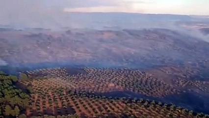 Mais de 400 pessoas retiradas de localidade em Badajoz devido a incêndio