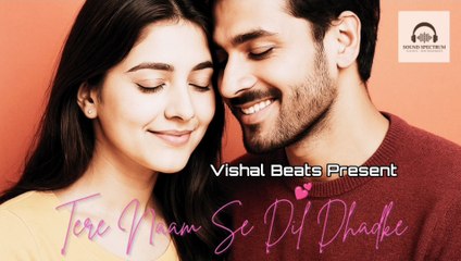 Tere Naam Se Dil Dhadke | Love Song | Vishal Beats | Official Release 2025✌