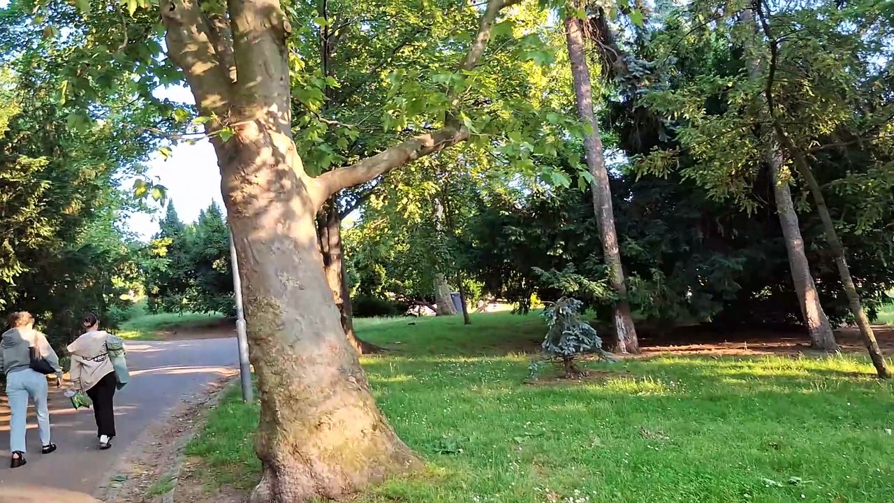 summer 2025  czech republic, prague, walk in the park regrovi