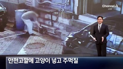 안전고깔에 고양이 넣고 주먹질…20대 남성 조사