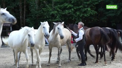 Minute locale du 20 juillet 2025 - Les chevaux de Jean-François Pignon