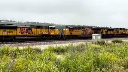 Trains Logistiques en Action - Puissance & Ingéniosité du Transport Ferroviaire Moderne