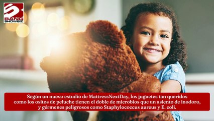 Los peluches tienen más gérmenes que el asiento del inodoro