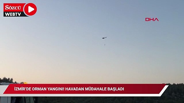 İzmir’de orman yangını! Havadan Müdahale Başladı