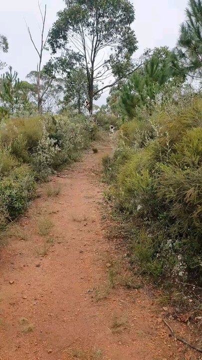 again I like to move it move it #physicallyfit #kingjulien #madagascar #movie #dreamworks #teamwork