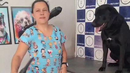 Dog teams up with woman for an energetic and unusual jam session during bath time