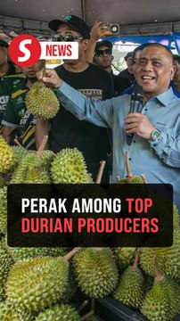 Perak one of Malaysia's top durian-producing states, says Saarani