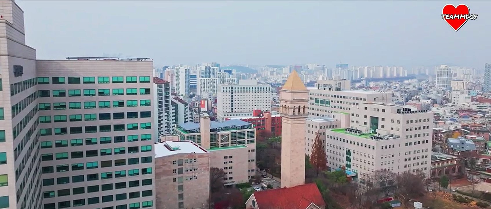 NAMJU SEARCH Capitulo 3