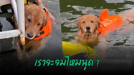 ลู้กกกหนูลอยได้นะ ไม่ต้องเกาะขนาดนั้นก็ได้