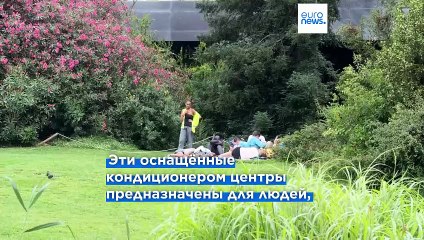 Где скрыться от жары? В Европе набирают популярность "климатические убежища"