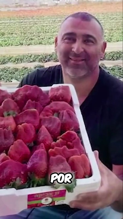 ¡La fresa más GRANDE del mundo y su sorpresa!#curiosidades