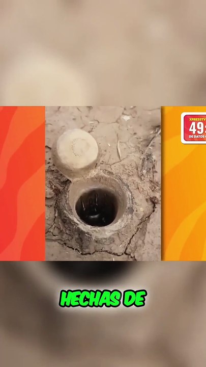 ¡Increíbles secretos de la naturaleza y la tecnología!#curiosidades