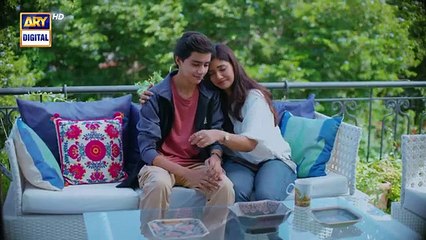 Sher Episode 19 Promo | Sarah Khan & Danish Taimoor | ARY Digital Drama